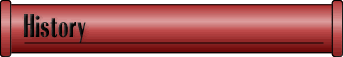 Professional Piping History