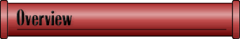 Professional Piping Overview